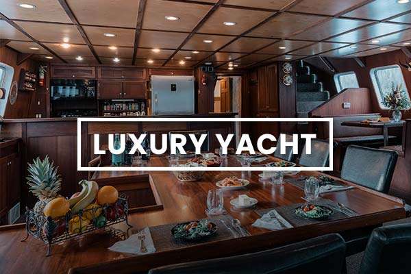 Luxury Yacht