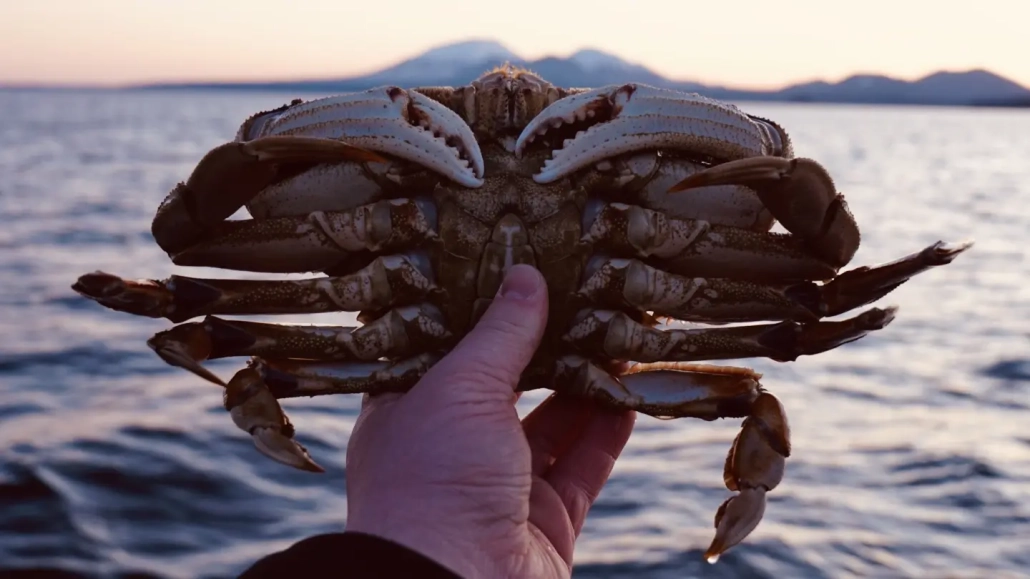 alaska-boat-cruises-booking-info-1 Alaskan Crab