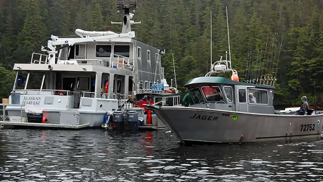 alaska-boat-cruises-booking-info-2 Alaskan Harvest & Fishing